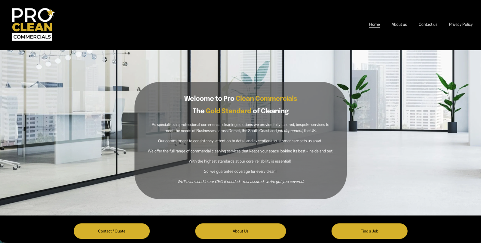 Pro Clean Commercials old Squarespace website